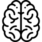brain 883039
